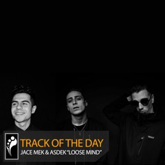 Track of the Day: Jace Mek & ASDEK “Loose Mind”