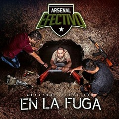 Arsenal Efectivo-De Las Playas Al Desierto(Album2017)