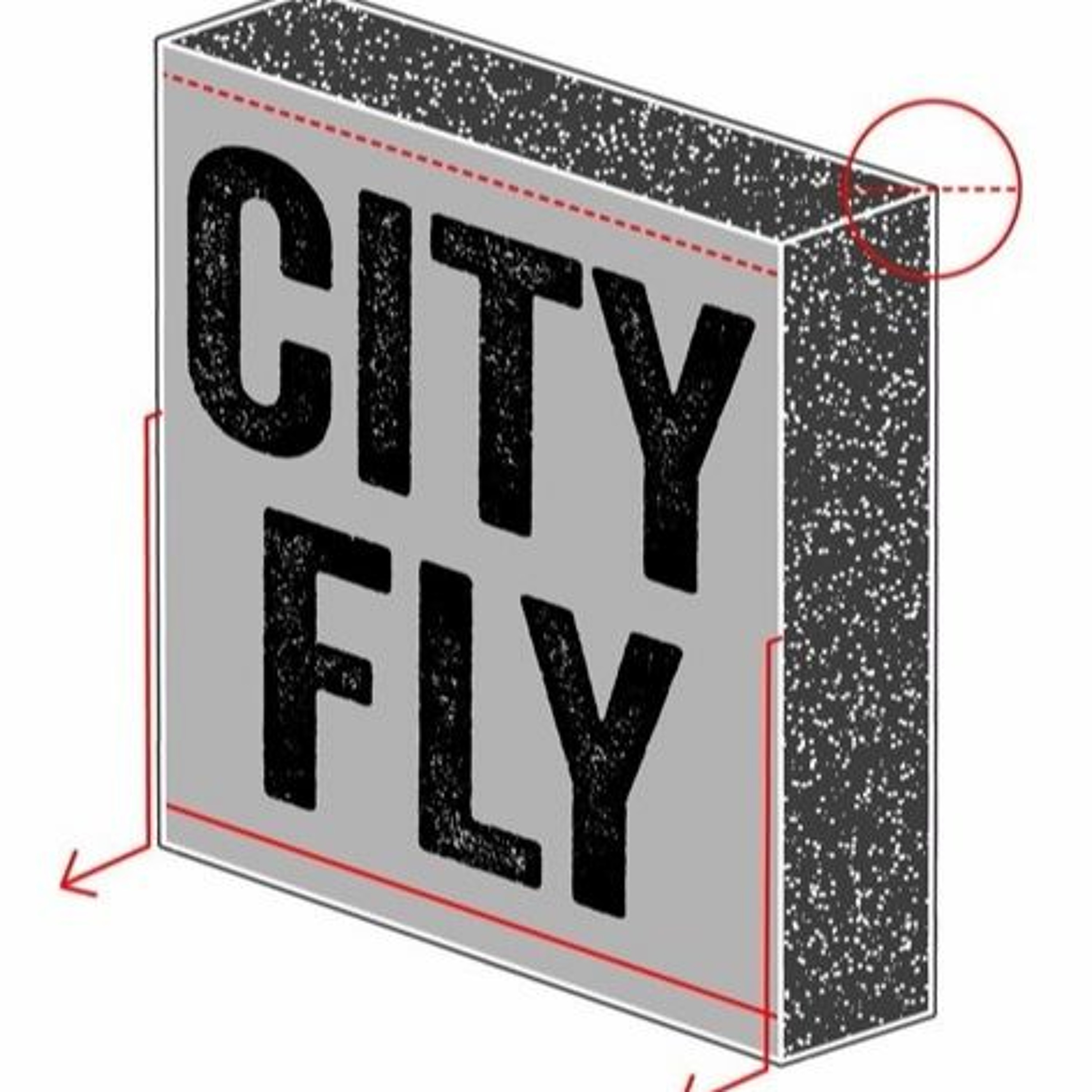 Wohnzimmer Sessions #20 - City Fly (Darran P & J'Shez) episode artwork