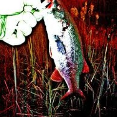 Largemouth Bass