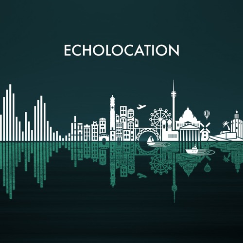Echolocation