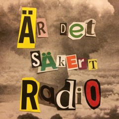 nr 16 - Delningsekonomi, resilience och hållbar utveckling med Susanna Elfors