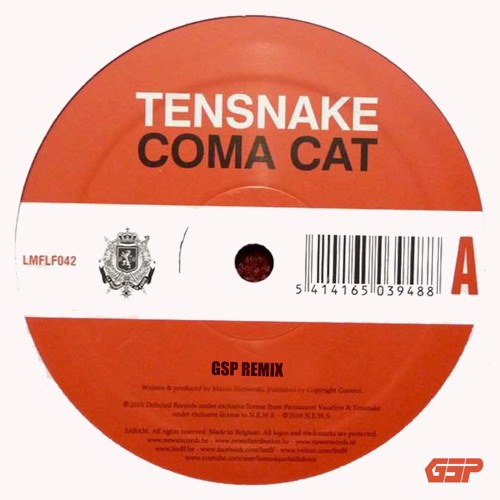 Tensnake - Coma Cat (GSP Remix) Free Download