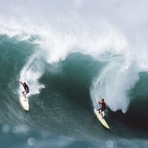 Catch This Wave