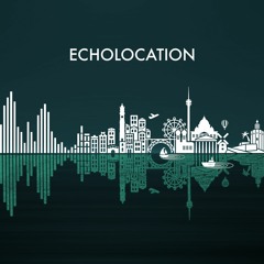 Echolocation
