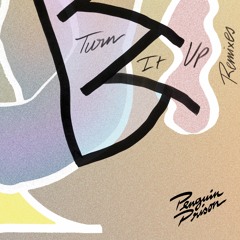 Turn It Up (Tyzo Bloom Remix)