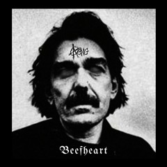 Beefheart