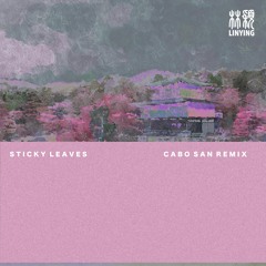 Sticky Leaves (Cabo San Remix)