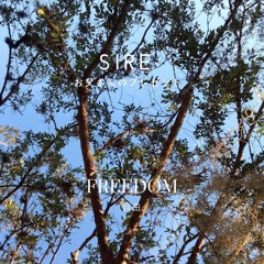 Freedom (prod. by SwaggBeats)