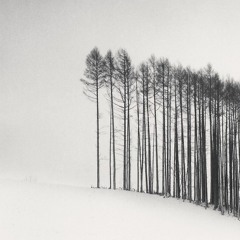 clouds [rough cuts v]