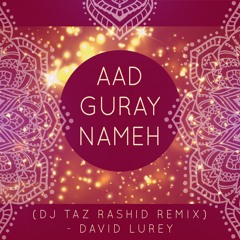 Aad Guray Nameh (DJ Taz Rashid Remix) - David Lurey