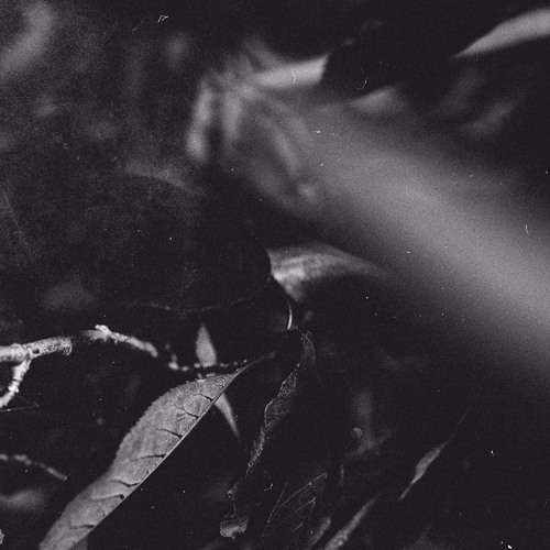 Tristam - Everlasting (Preview)