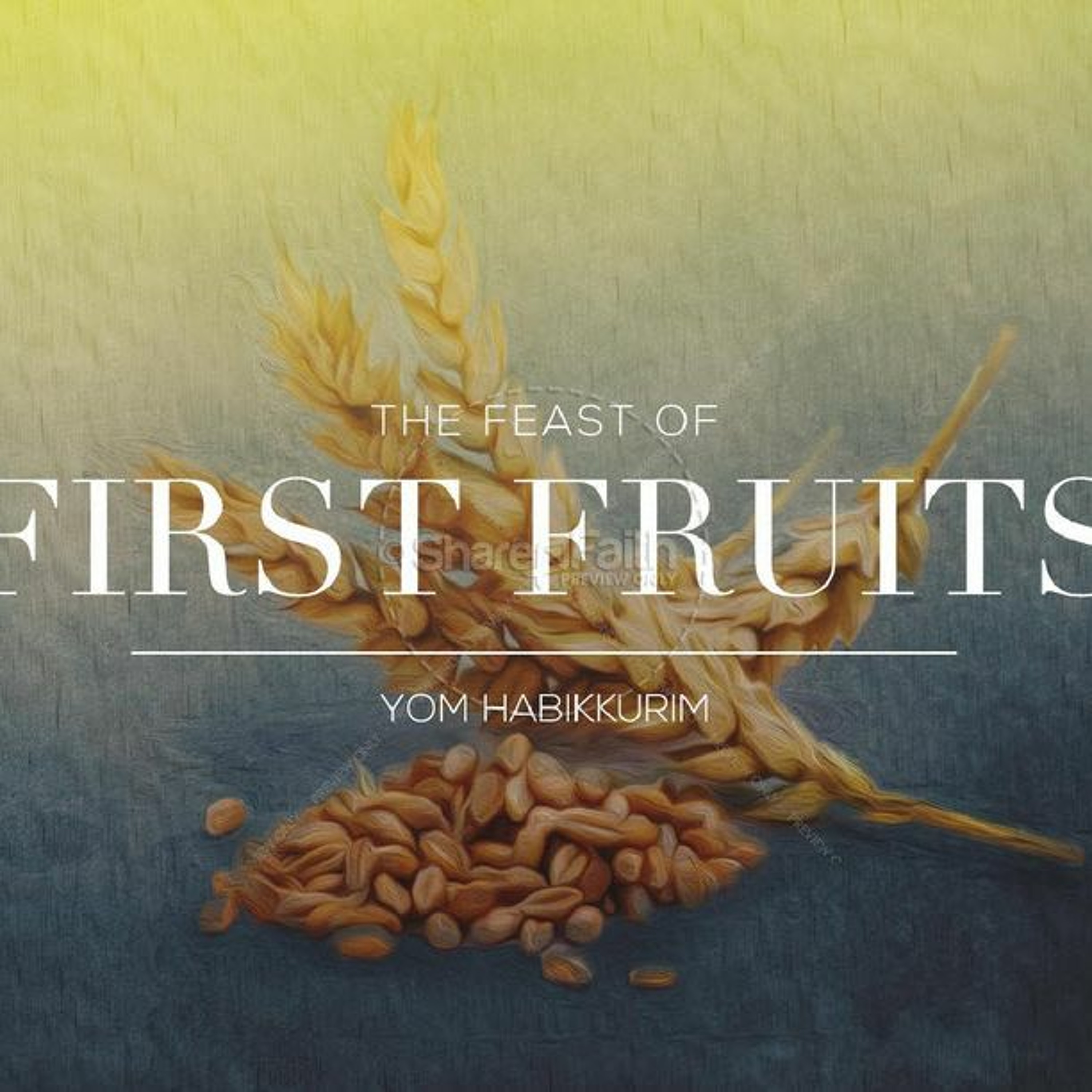 HHMI ~ Feast of First Fruits ~ Spiritual Application ~ Pt 2 ~ Role of Firstborn, King, & Priest episode artwork