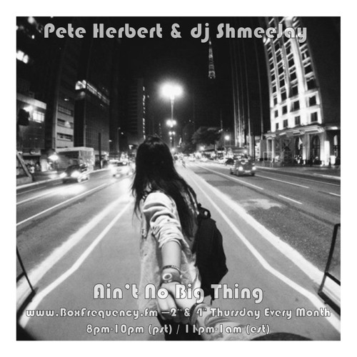 Pete Herbert  & dj ShmeeJay - Ain't No Big Thing - 2017-11-09