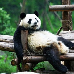 LN6 End Of 2017 Bassline Mix