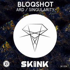 BLOQSHOT - Singularity