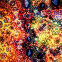 Fractal Universe