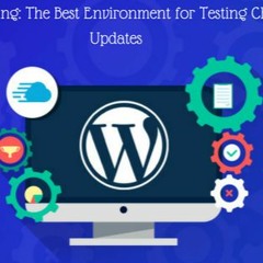 WordPress Staging The Best Environment for Testing Changes and Updates.mp3