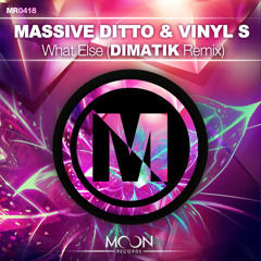 Massive Ditto & Vinyl S - What Else feat. Caro (Dimatik Remix!)