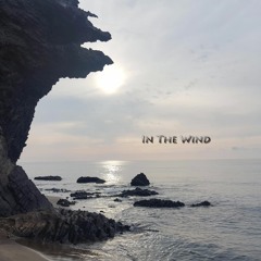 In The Wind (Original Mix)