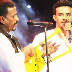 مفقود الجنوب - حسين الصادق & النصري
