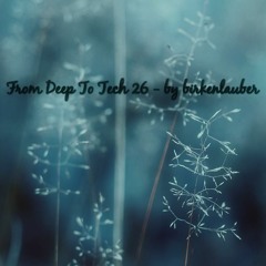 FROM DEEP TO TECH 26 - by birkenlauber