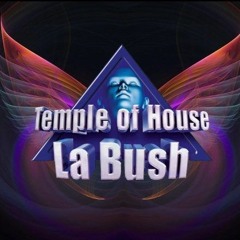 bush bush
