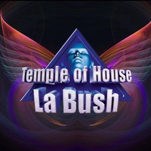 La Bush Reunion in a nutshell