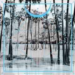 Four Tet - Lion (Jamie xx Remix)