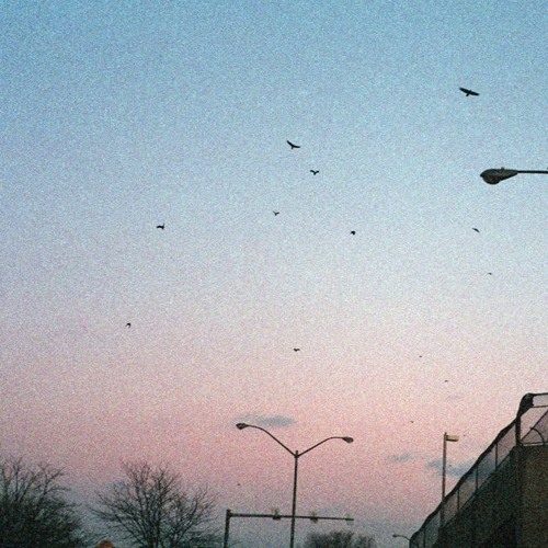 OTESLA ⚘⚘ x Omaure - Ziplock State