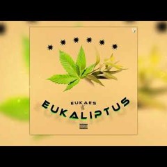 TORBA x ŁYSY x RIKO ~ Eukaliptus