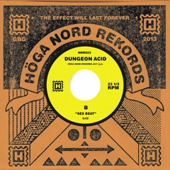 PREMIERE | Dungeon Acid - Sex Beat [Höga Nord Rekords] 2017