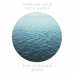 Troy Ramey - Forever Wild (Dan Porcaro Remix)