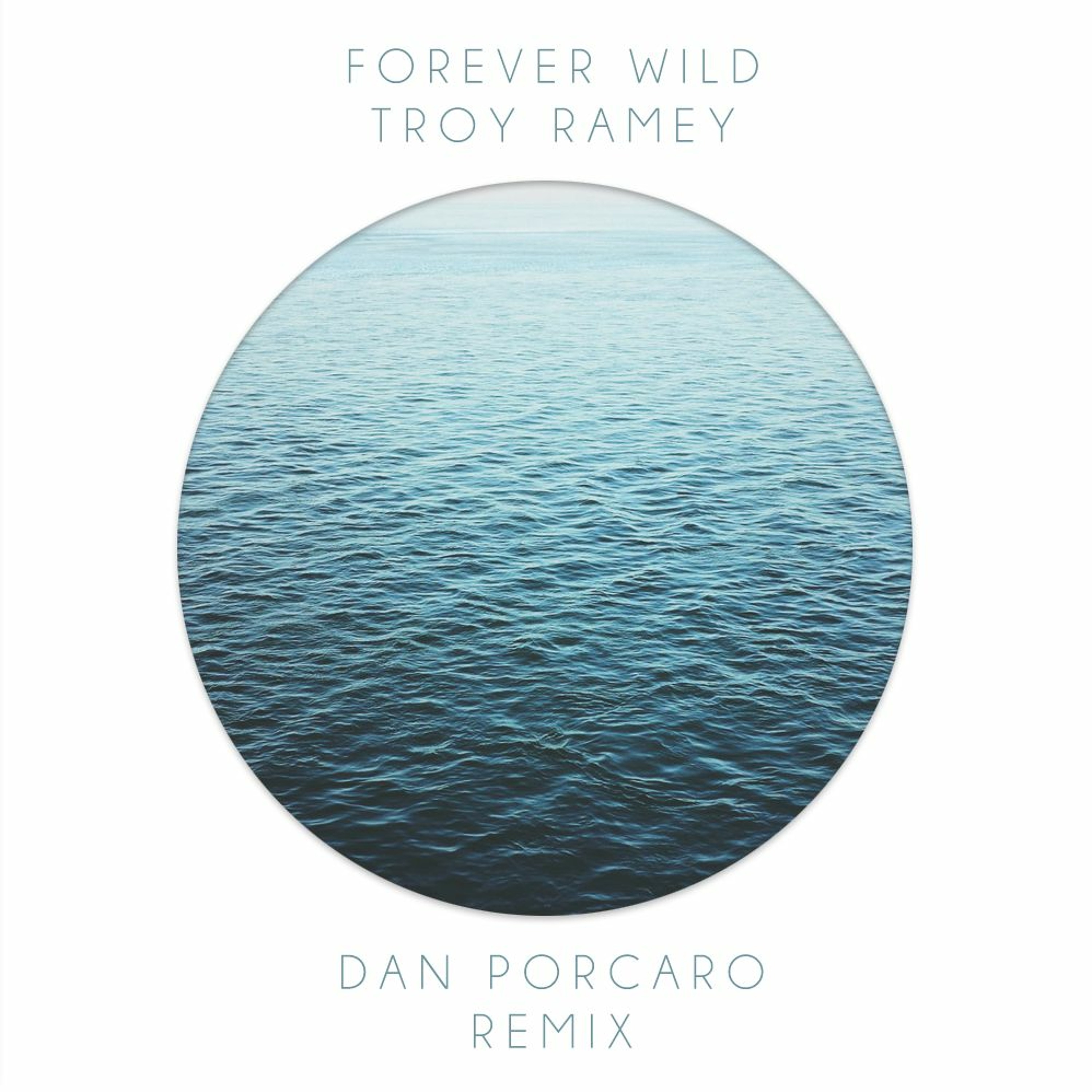 Dan Porcaro Music