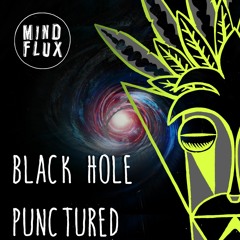 Black Hole Punctured