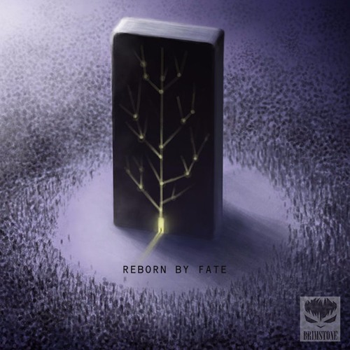 Reborn By Fate