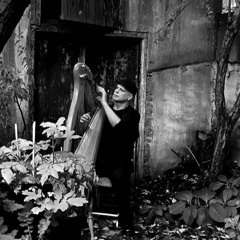 Bonny Portmore.  Harp  by J.H. O'Callaghan