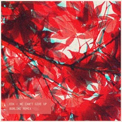 EDX - We Can't Give Up (Borlini Remix) *FREE DOWNLOAD*