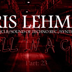 Hell In A Cell/Part 23 @ Chris Lehmann