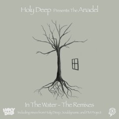 Anadel - In The Water (Holy Deep Remix) [Snippet]