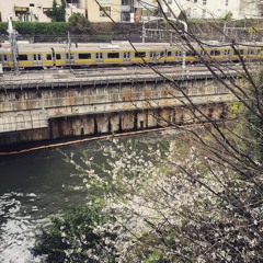 たんぽぽは唄う