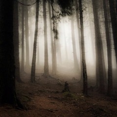 The Awakening (Featuring Brandon Garrett)