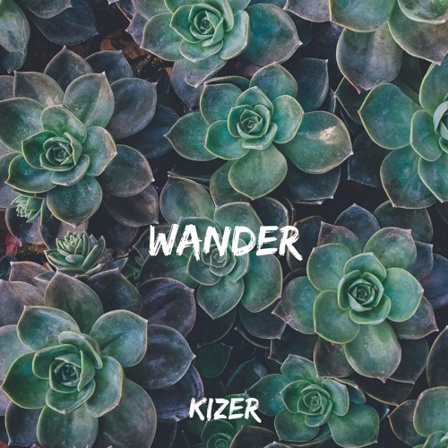 Wander