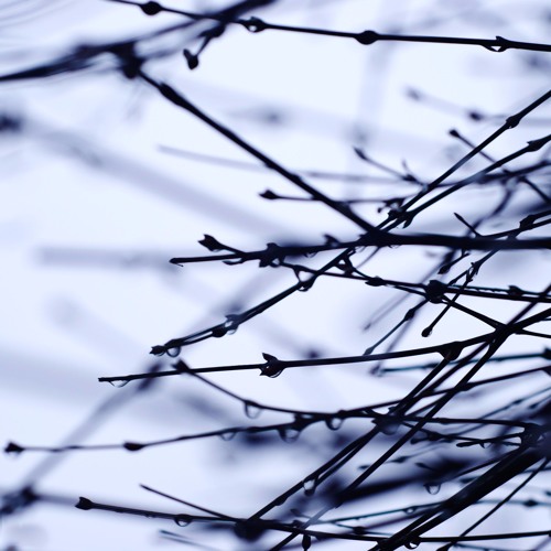 Ｐｅｔｒｉｃｈｏｒ