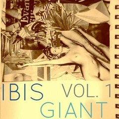 IBIS GIANT - Sugar Curves Ft. AL Prozenta (by Grammophon Finest)