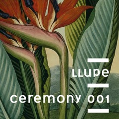 Ceremony Mixes