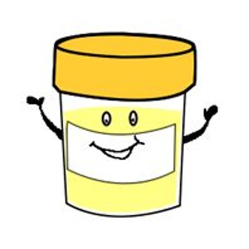Stream How Urine Tests Helps You Maintain Good Health by