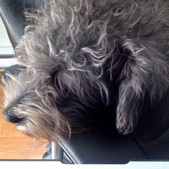 schleepy luna [available now on traktrain.com/mysterebeats]