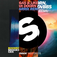 Martin Garrix vs Dimitri Vegas & Like Mike Vs Brooks & GRX - Project Gold Boomerang (Teebo Mashup)