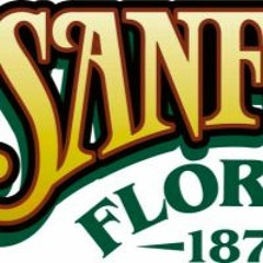 State Of Mind (Feat. YSN Ant) [Mixed @MOKEOBONKILOS] [Prod. by Cxdy]